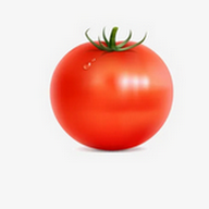 91禁片APPAPP应用